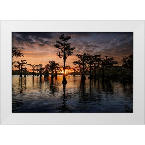 Jones, Adam 24x17 White Modern Wood Framed Museum Art Print Titled - Bald cypress trees silhouetted at sunset Caddo Lake-Uncertain-Texas
