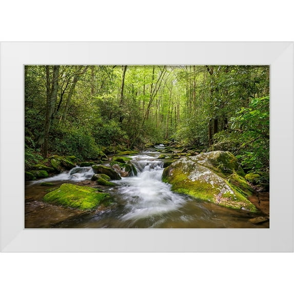 Jones, Adam 24x17 White Modern Wood Framed Museum Art Print Titled - Cascading mountain stream-Great Smoky Mountains National Park-Tennessee-North Carolina