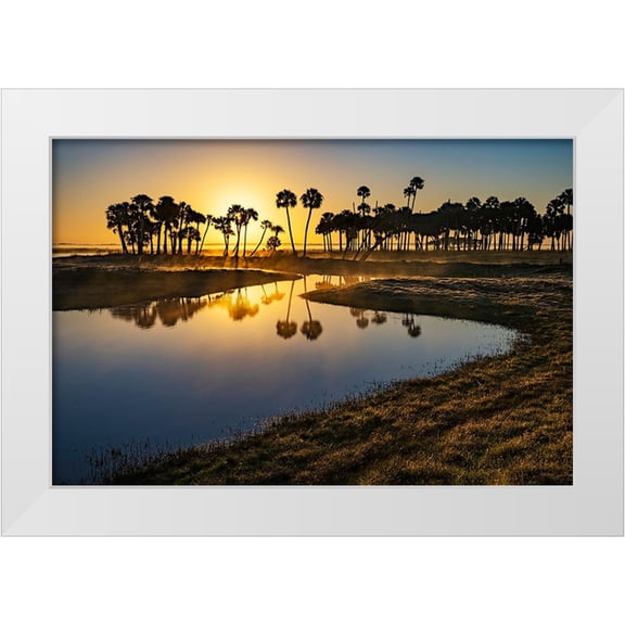 Jones, Adam 24x17 White Modern Wood Framed Museum Art Print Titled - Sable palms silhouetted at sunrise on the Econlockhatchee River