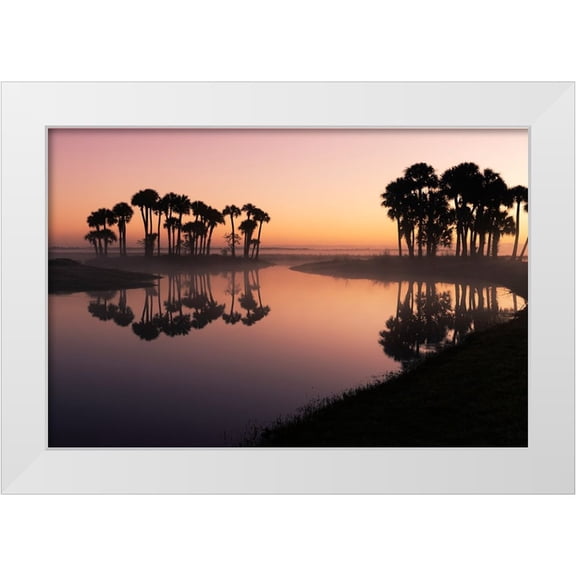 Jones, Adam 24x17 White Modern Wood Framed Museum Art Print Titled - Sable palms silhouetted at sunrise on the Econlockhatchee River