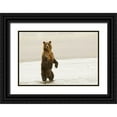 thumbnail image 1 of Jones, Adam 32x23 Black Ornate Wood Framed with Double Matting Museum Art Print Titled - Brown bear standing upright-Silver Salmon Creek-Lake Clark National Park-Alaska, 1 of 4