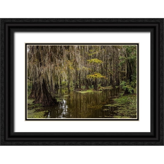 Jones, Adam 32x23 Black Ornate Wood Framed with Double Matting Museum Art Print Titled - Cypress trees and Spanish moss lining shoreline of Caddo Lake-Uncertain-Texas