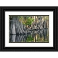 thumbnail image 1 of Jones, Adam 32x23 Black Ornate Wood Framed with Double Matting Museum Art Print Titled - Early spring view of cypress trees reflecting on blackwater area of St Johns River-central Florida, 1 of 4
