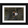 thumbnail image 1 of Jones, Adam 32x23 Black Ornate Wood Framed with Double Matting Museum Art Print Titled - Duck swimming in autumn water, 1 of 4