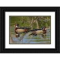thumbnail image 1 of Jones, Adam 32x23 Black Ornate Wood Framed with Double Matting Museum Art Print Titled - Male wood ducks-Kentucky, 1 of 4