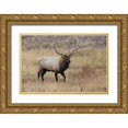 thumbnail image 1 of Jones, Adam 32x23 Gold Ornate Wood Framed with Double Matting Museum Art Print Titled - Bull elk or wapiti in meadow-Yellowstone National Park-Wyoming, 1 of 4