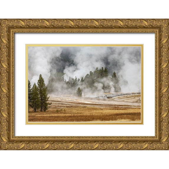 Jones, Adam 32x23 Gold Ornate Wood Framed with Double Matting Museum Art Print Titled - Grasses and mist in autumn meadow-Upper Geyser Basin-Yellowstone National Park-Wyoming