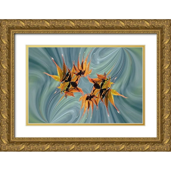 Jones, Adam 32x23 Gold Ornate Wood Framed with Double Matting Museum Art Print Titled - Rain falling on Japanese Maple leaves in autumn-Louisville-Kentucky