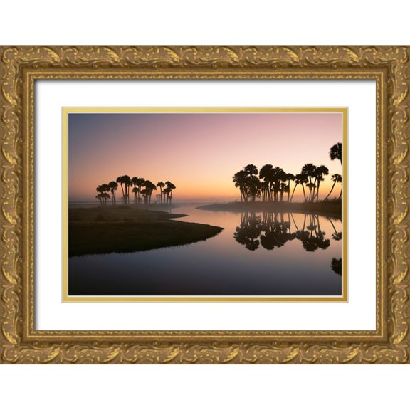 Jones, Adam 32x23 Gold Ornate Wood Framed with Double Matting Museum Art Print Titled - Sable palms silhouetted at sunrise on the Econlockhatchee River