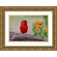 thumbnail image 1 of Jones, Adam 32x23 Gold Ornate Wood Framed with Double Matting Museum Art Print Titled - Male cardinal and flowers-Rio Grande Valley-Texas, 1 of 4