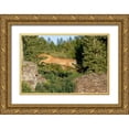 thumbnail image 1 of Jones, Adam 32x23 Gold Ornate Wood Framed with Double Matting Museum Art Print Titled - Mountain lion jumping across rocks-Puma concolor-Captive, 1 of 4