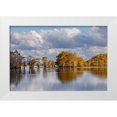 thumbnail image 1 of Jones, Adam 32x23 White Modern Wood Framed Museum Art Print Titled - Bald cypress trees in autumn Caddo Lake-Uncertain-Texas, 1 of 4