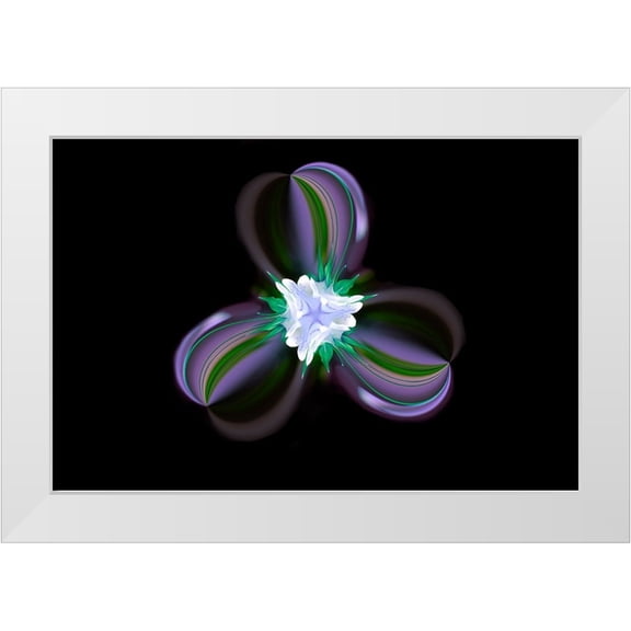 Jones, Adam 32x23 White Modern Wood Framed Museum Art Print Titled - Columbine Flower-Colorado