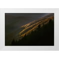 thumbnail image 1 of Jones, Adam 32x23 White Modern Wood Framed Museum Art Print Titled - First light morning on early spring trees-Oconaluftee Valley-Great Smoky Mountains National Park, 1 of 4