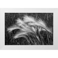 thumbnail image 1 of Jones, Adam 32x23 White Modern Wood Framed Museum Art Print Titled - Foxtail grasses-Mono Lake-Tufa State Natural Reserve-California, 1 of 4