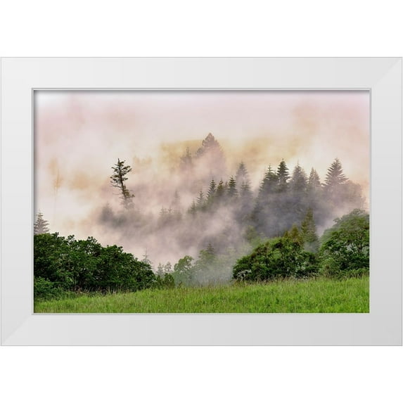 Jones, Adam 32x23 White Modern Wood Framed Museum Art Print Titled - Hillside of evergreen trees among fog-Bald Hills Road-California