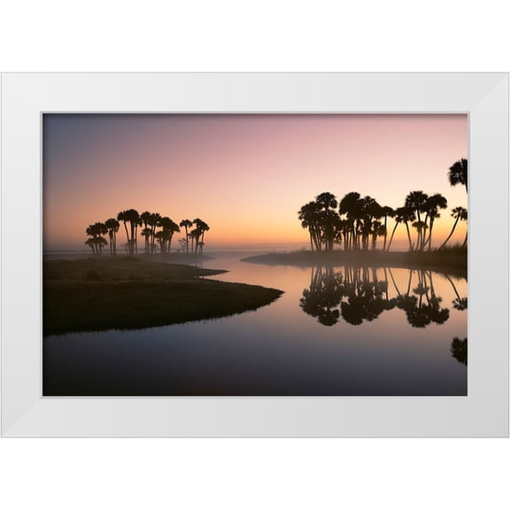 Jones, Adam 32x23 White Modern Wood Framed Museum Art Print Titled - Sable palms silhouetted at sunrise on the Econlockhatchee River