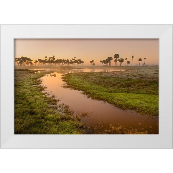 Jones, Adam 32x23 White Modern Wood Framed Museum Art Print Titled - Sable palms silhouetted at sunrise on the Econlockhatchee River