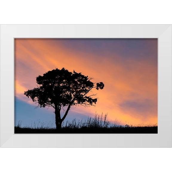 Jones, Adam 32x23 White Modern Wood Framed Museum Art Print Titled - Single tree silhouetted at sunrise-Yellowstone National Park-Wyoming