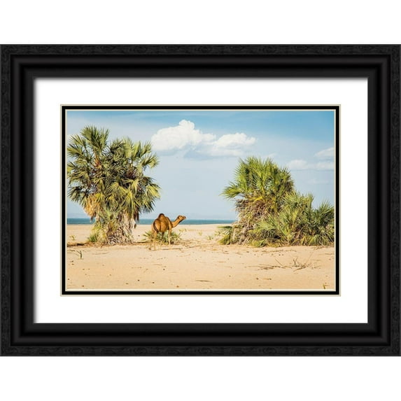 Jones, Alison 14x11 Black Ornate Wood Framed with Double Matting Museum Art Print Titled - East Africa-Kenya Lake Turkana Basin-Lobolo Camp-beach scene with camels