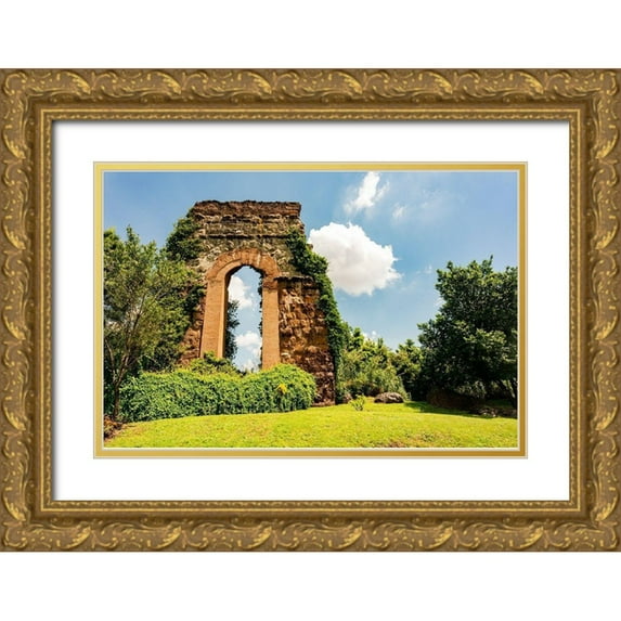 Jones, Alison 14x11 Gold Ornate Wood Framed with Double Matting Museum Art Print Titled - Italy-Rome Parc of the Aqueducts (Parco degli Acquedotti)-Acqua Claudio