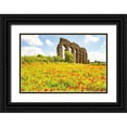 thumbnail image 1 of Jones, Alison 18x13 Black Ornate Wood Framed with Double Matting Museum Art Print Titled - Italy-Rome Parc of the Aqueducts (Parco degli Acquedotti)-Acqua Claudio, 1 of 4