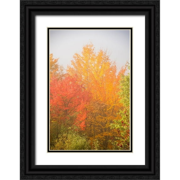 Jones, Allison 11x14 Black Ornate Wood Framed with Double Matting Museum Art Print Titled - USA-New Hampshire-fall foliage north of Whitefield-along Rt 3