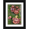 thumbnail image 1 of Jones, Allison 11x14 Black Ornate Wood Framed with Double Matting Museum Art Print Titled - USA-Vermont-Fall foliage and mushrooms in Mad River Valley along trail to Warren Falls, 1 of 4