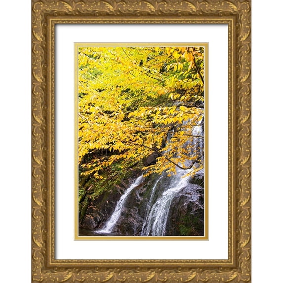 Jones, Allison 13x18 Gold Ornate Wood Framed with Double Matting Museum Art Print Titled - USA-Vermont-Fall foliage in Mad River Valley along trail to Warren Falls