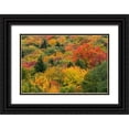 thumbnail image 1 of Jones, Allison 14x11 Black Ornate Wood Framed with Double Matting Museum Art Print Titled - USA-Vermont-New England-Stowe Mt Mansfield parking lot view, 1 of 4