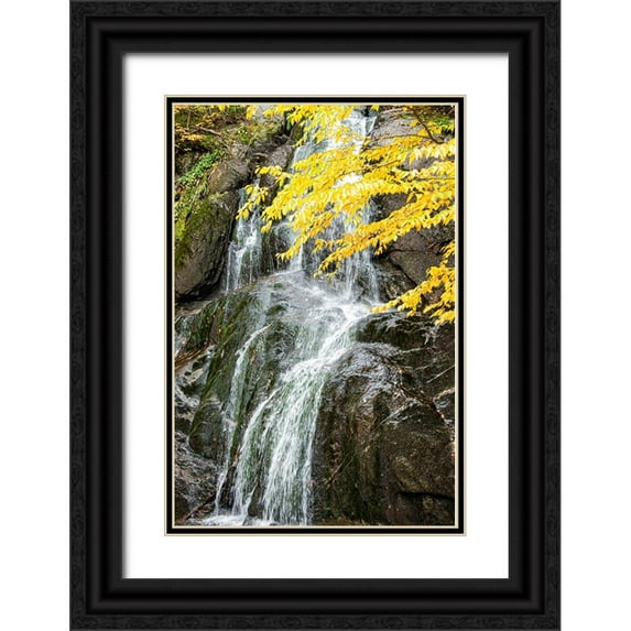 Jones, Allison 17x24 Black Ornate Wood Framed with Double Matting Museum Art Print Titled - USA-Vermont-Fall foliage in Mad River Valley along trail to Warren Falls