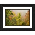 thumbnail image 1 of Jones, Allison 18x13 Black Ornate Wood Framed with Double Matting Museum Art Print Titled - USA-New Hampshire-fall foliage north of Whitefield-along Rt 3, 1 of 4