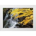 thumbnail image 1 of Jones, Allison 18x13 White Modern Wood Framed Museum Art Print Titled - USA-Vermont-Fall foliage in Mad River Valley along trail to Warren Falls, 1 of 4