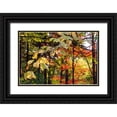 thumbnail image 1 of Jones, Allison 24x17 Black Ornate Wood Framed with Double Matting Museum Art Print Titled - USA-Vermont-Morrisville-Jopson Lane Fall foliage, 1 of 4