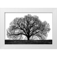 thumbnail image 1 of Jones, John 24x17 White Modern Wood Framed Museum Art Print Titled - The Tree, 1 of 4