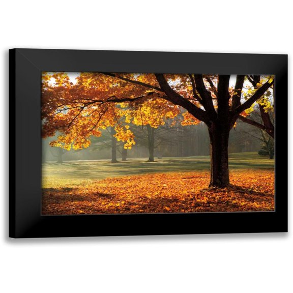 Jones, Mike 14x11 Black Modern Framed Museum Art Print Titled - Autumn