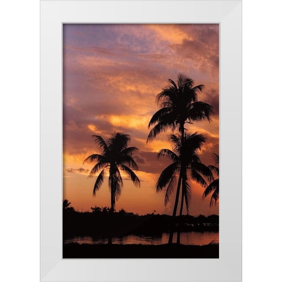 Jones, Mike 17x24 White Modern Wood Framed Museum Art Print Titled - Tropical Sunsets A