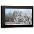 thumbnail image 1 of Jones, Mike 24x17 Black Modern Framed Museum Art Print Titled - Frosty Morning, 1 of 5