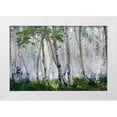 thumbnail image 1 of Jones, Mike 24x17 White Modern Wood Framed Museum Art Print Titled - Up In The Clouds, 1 of 4