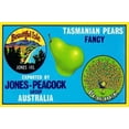 thumbnail image 1 of Jones-Peacock Tasmanian Pears Poster Print by  Retrolabel (24 x 36), 1 of 1