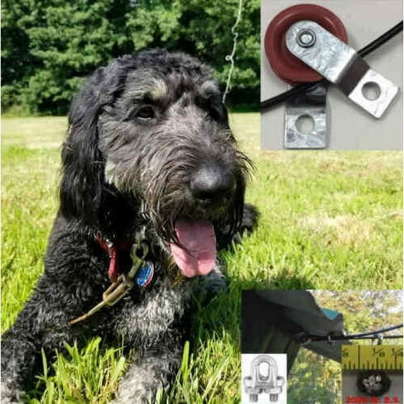 Jones-Sports Dog Run 250'