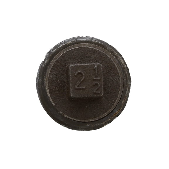 Jones Stephens P56250 2-1/2 Lead Fitting All Plug