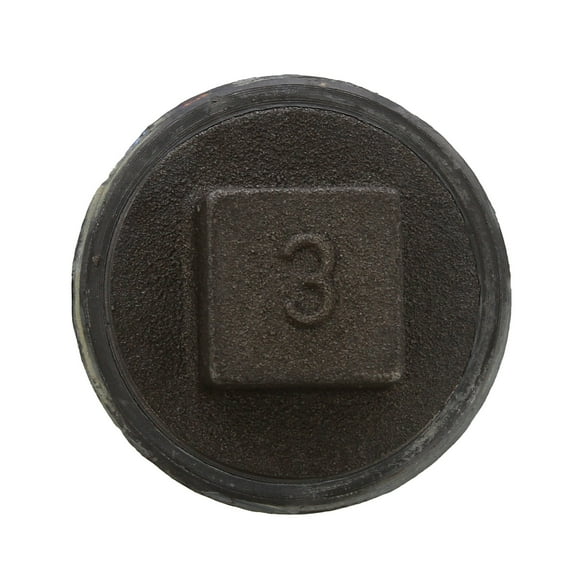 Jones Stephens 40386 3 in. Lead Test Plug