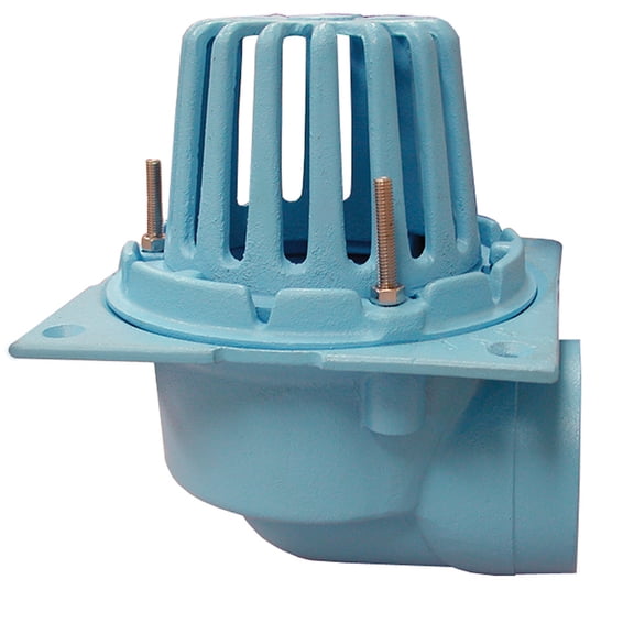 Jones Stephens R19402 2 Nh Sd/Out Roof Drain - Blue