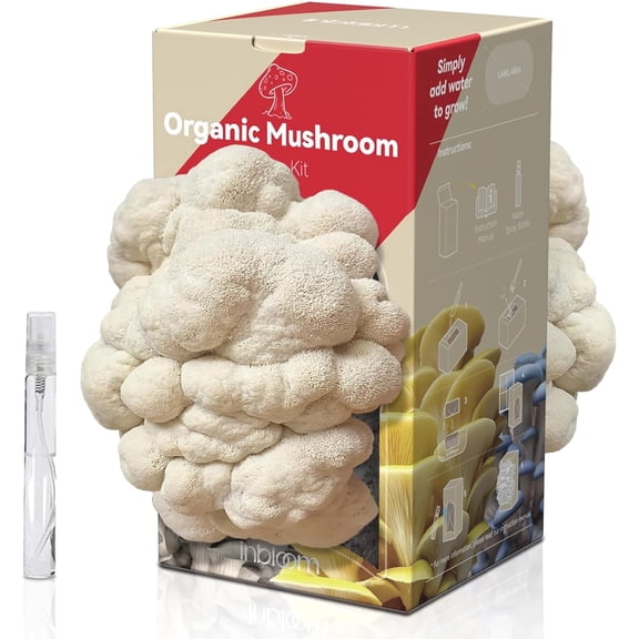 Jonquil inbloom Lion's Mane Mushroom Grow Kit with Double-Sides Harvest USDA Organic 3.5 lbs
