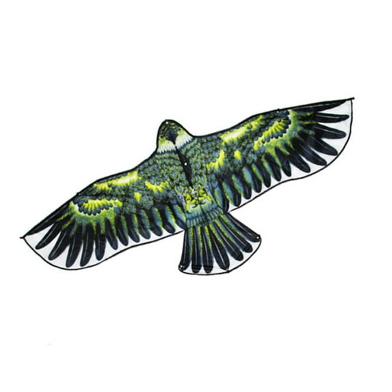 Jooan 2021 New Kites for Kids and Adults Easy to Fly 63” Large Eagle Kids Kite Beach Kites for Boys/ Girls Outdoor Game/ Beach Trip, Color Random