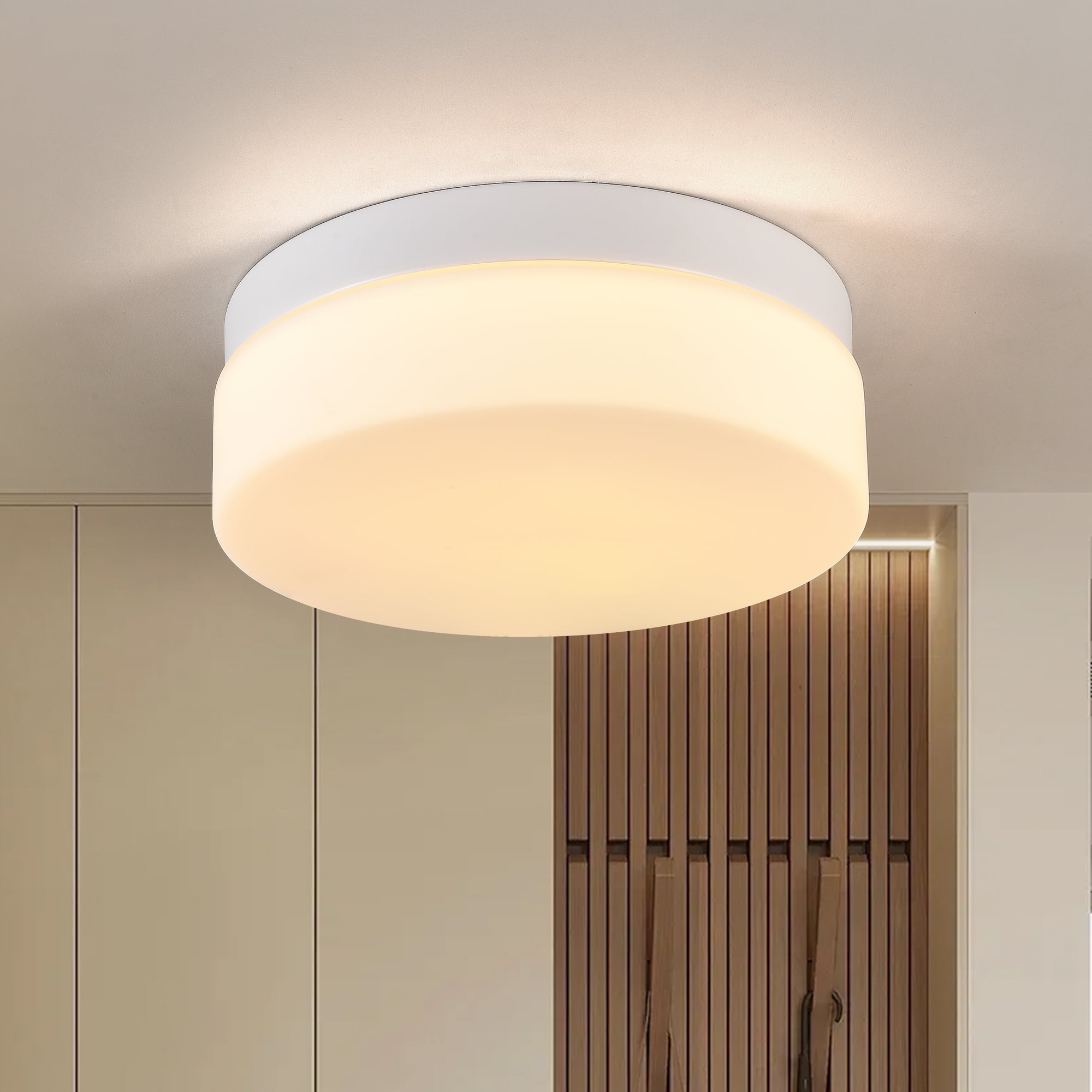 Jopath 12 Inch LED Flush Mount Ceiling Light, Modern Kitchen Recessed Ceiling Lamp Closet Round Surface for Bathroom Laundry Bedroom Hallway Black White