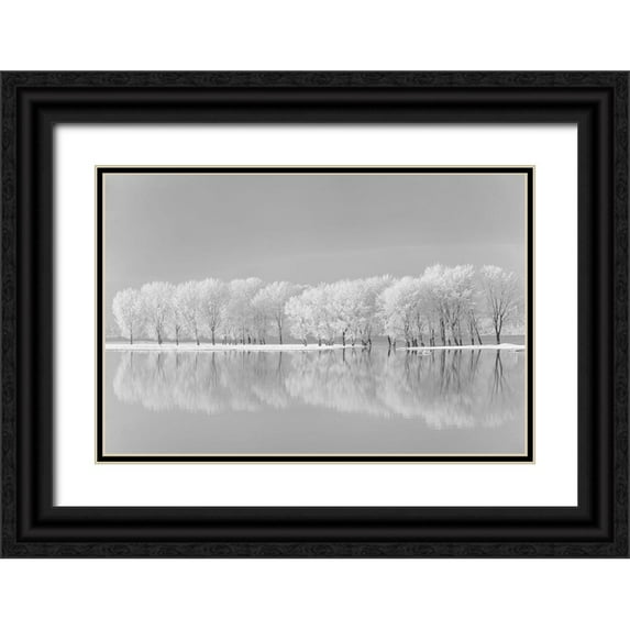 Jordache 18x13 Black Ornate Wood Framed with Double Matting Museum Art Print Titled - Snow Trees Along the Lake