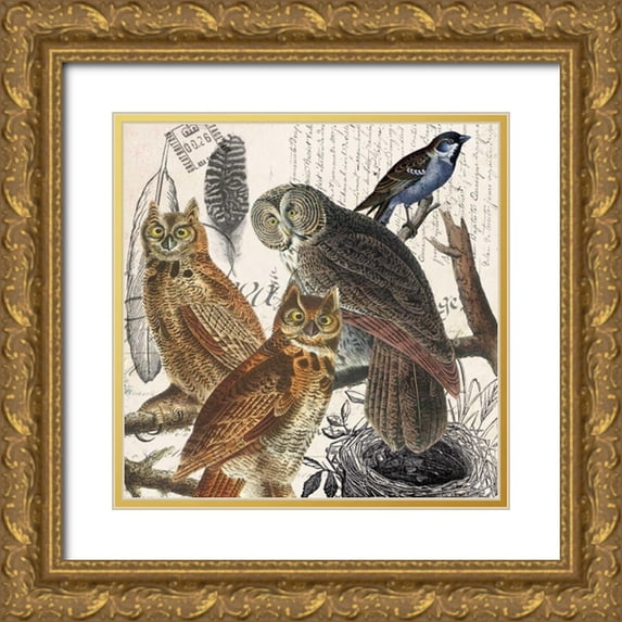 Jordan, Elizabeth 15x15 Gold Ornate Wood Framed with Double Matting Museum Art Print Titled - Owl
