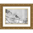 thumbnail image 1 of Jordan, Elizabeth 18x13 Gold Ornate Wood Framed with Double Matting Museum Art Print Titled - Waiting On The World To Change, 1 of 4